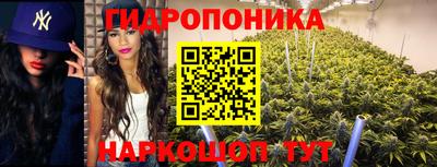ECSTASY Дубна