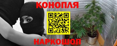 PSILOCYBIN Балаково