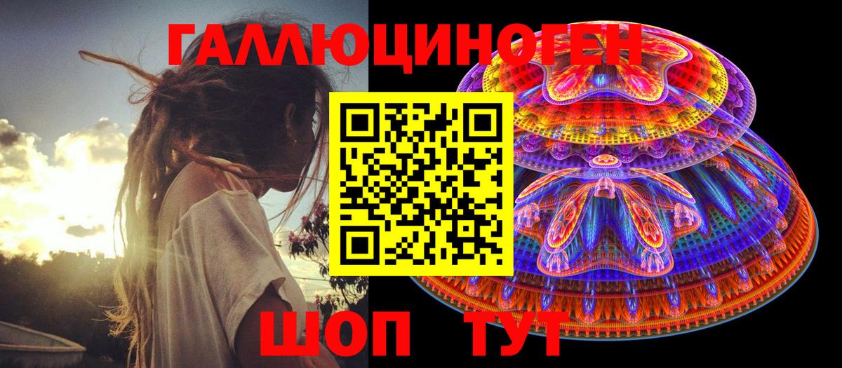 Галлюциногенные грибы Psilocybine cubensis Гатчина