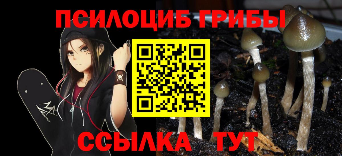 Галлюциногенные грибы Magic Shrooms  Гатчина 
