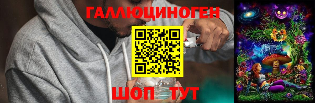 Гатчина  Псилоцибиновые грибы мицелий  Вход с VPN 