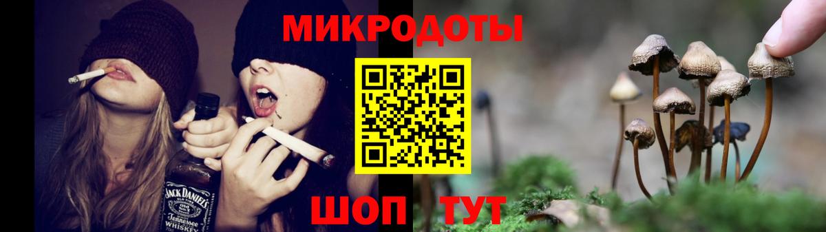 Псилоцибиновые грибы Cubensis Гатчина