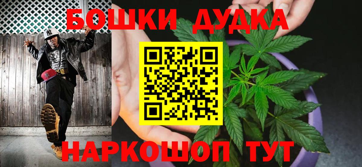 LSD-25 Гатчина